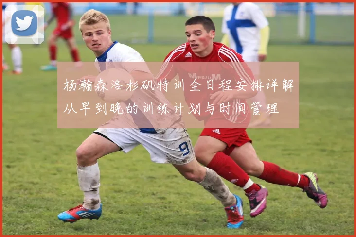 杨瀚森洛杉矶特训全日程安排详解从早到晚的训练计划与时间管理